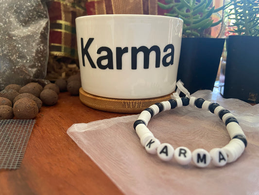 Swiftmas Succulent Gift Kit-Karma