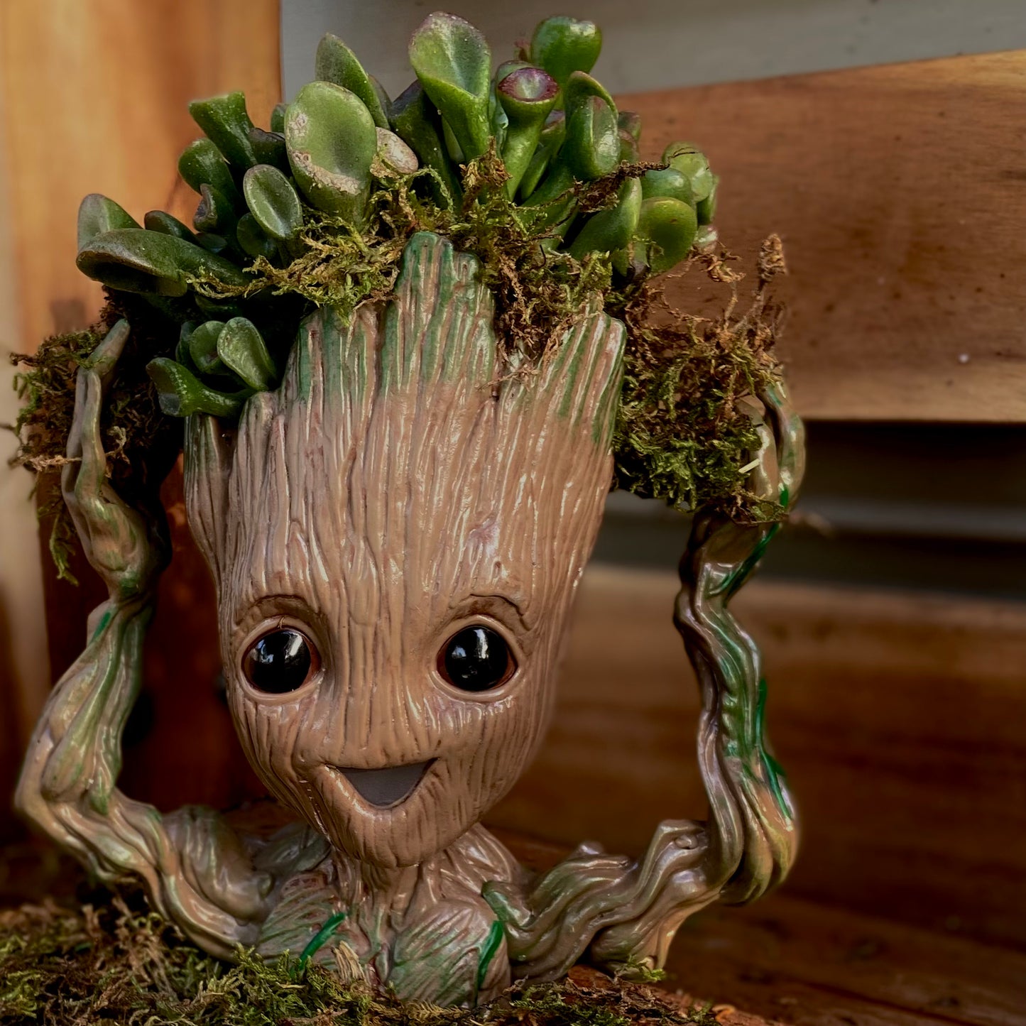 Groot